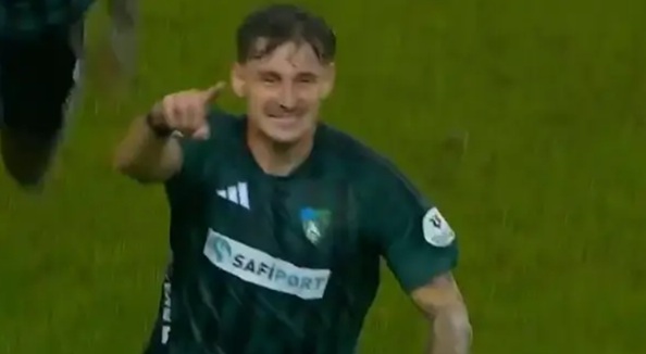 maglica