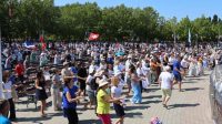 mladifest