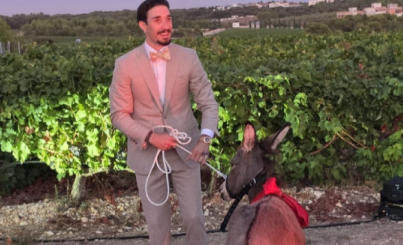 vrsaljko