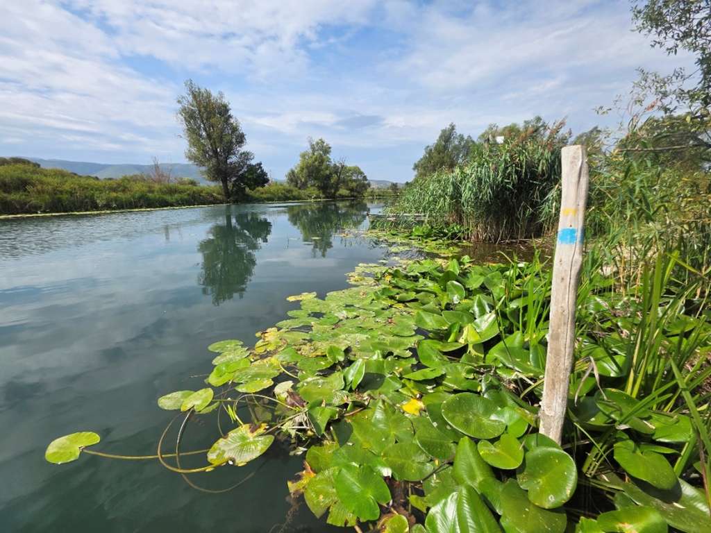 Hutovo blato: Novi sustav prati vodu, ribe i močvarnu vegetaciju Hutovo blato: Novi sustav prati vodu, ribe i močvarnu vegetaciju