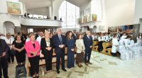 hdz bih