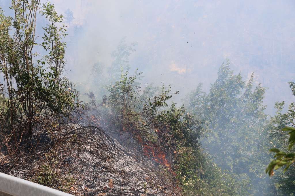 Požar na području Hanskog polja iznad Rujišta, vatrogasci pokušavaju zaustaviti širenje Požar na području Hanskog polja iznad Rujišta, vatrogasci pokušavaju zaustaviti širenje