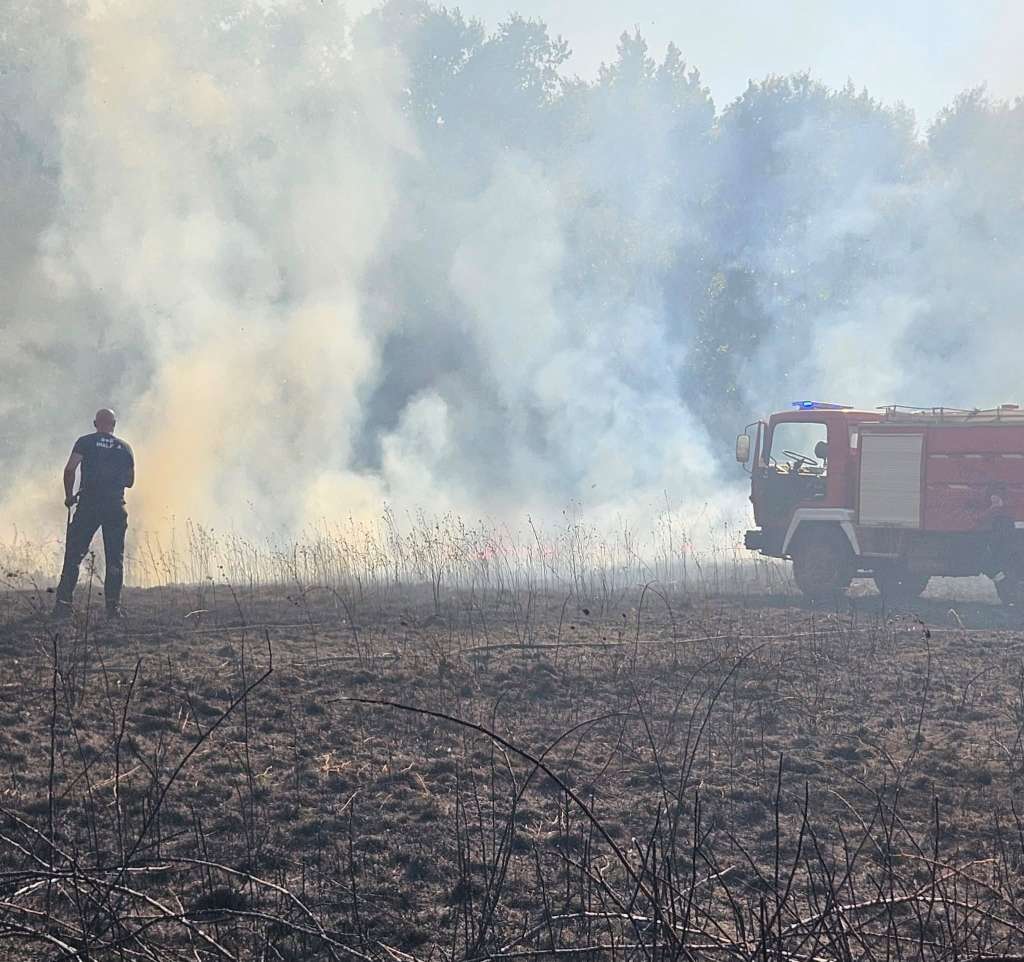 Grude: Požar ugašen, 16 hektara uništeno, objekti odbranjeni Grude: Požar ugašen, 16 hektara uništeno, objekti odbranjeni
