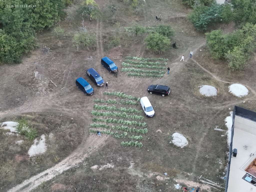 Razbijena ilegalna plantaža marihuane kod Konjica, uhićene 4 osobe Razbijena ilegalna plantaža marihuane kod Konjica, uhićene 4 osobe