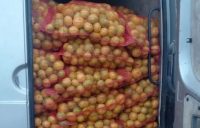 mandarine