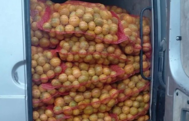 mandarine