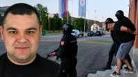 nikolić