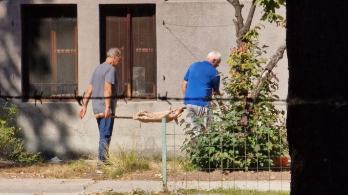 prase u sarajevu