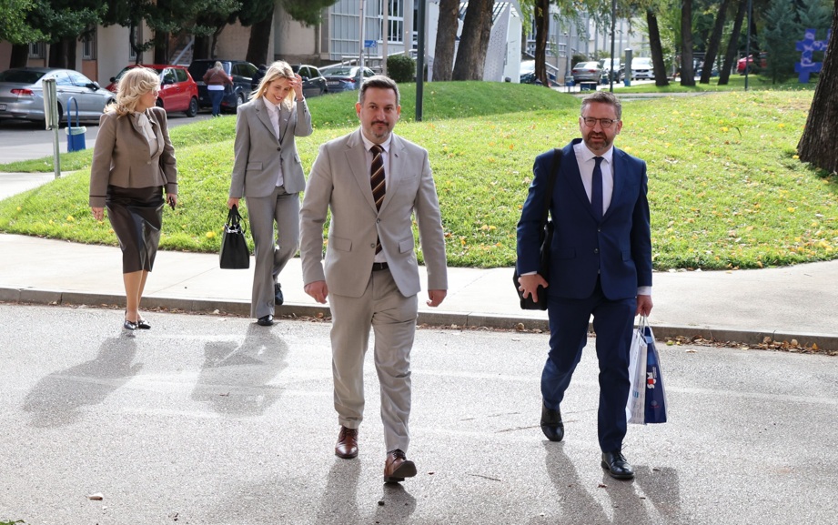 Irski veleposlanik na SUM