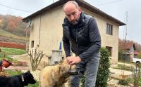 kangal